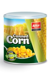 Corn_02