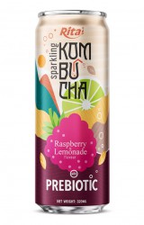 Sparkling_Kombucha_Prebiotic_320ml_can_04