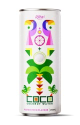 کنسرو آب نارگیل با طعم منگوستین 250 میلی لیتر