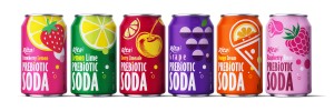 Raspberry Rose Prebiotic Soda 330ml short can Poster 2