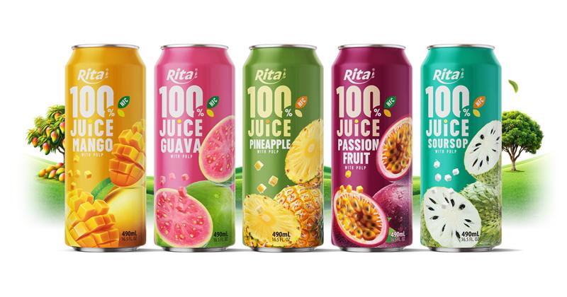 web Design 100 JUICE with Pulp 500ml can 01