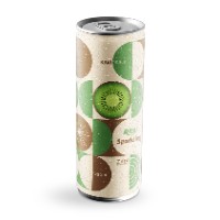 شراب فوار بنكهة الكيوي 250 مل معلب RITA (20201230)